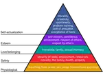 Maslow's Hierarchy of Needs