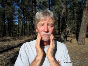 Massaging the TMJ