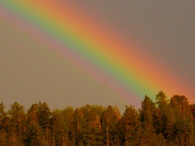 betriebswirtschaftliche strukturfragen beiträge zur morphologie von erwerbswirtschaftlichen unternehmungen und genossenschaften