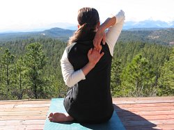 Cow Face Pose, yoga pose