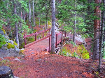 Bridge over Creek in a Forest on the way to Vermillion Pea
