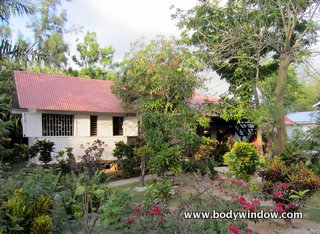 Negril Yoga Center Bungalows