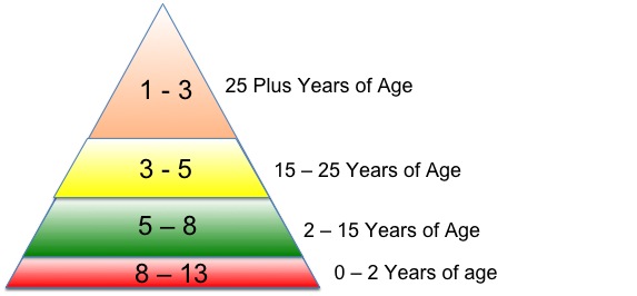 Brad Pilon's Food Pyramid Brad Pilon's Food Pyramid