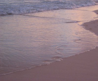 Sunlight at water's edge