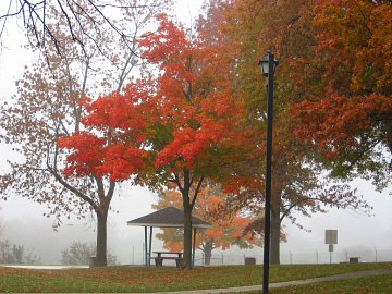 Road Side Rest in the Mis, New York State