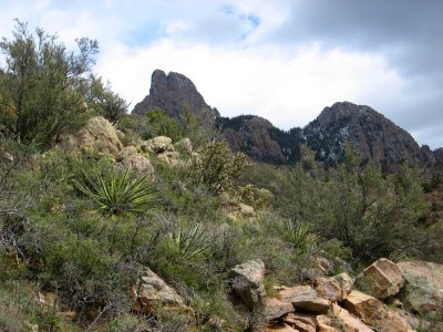Sandia Mountains, New Mexico, from the La Luz Trail