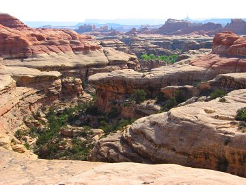 The Needles, Canyonlands National Park, Utah