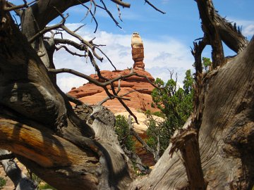 The Needles District of Canyonlands National Park, Utah
