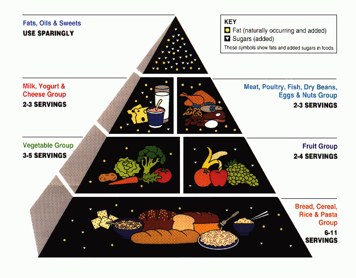 USDA Food Pyramid USDA Food Pyramid