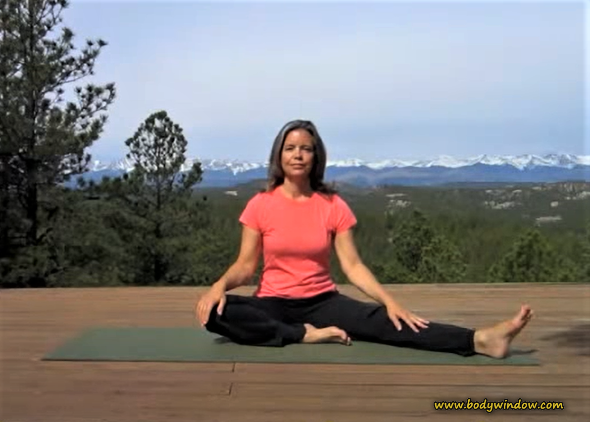 Mountain Backdrop for Pranayama, Elle Bieling Mountain Backdrop for Pranayama, Elle Bieling