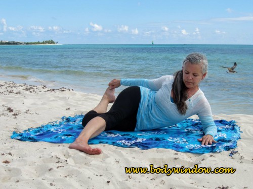 Cat Pulling Its Tail 1