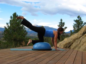 Bosu balance trainer, kneeling with hands on floor, raise one leg. 
