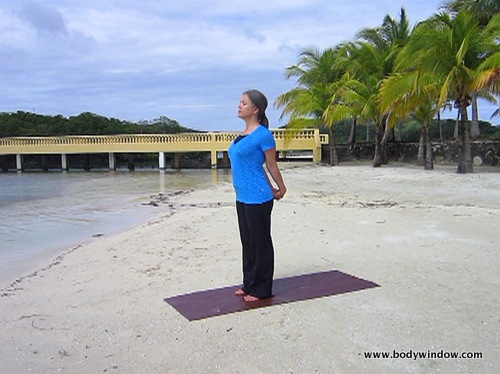 4th Chakra Healing Meditation