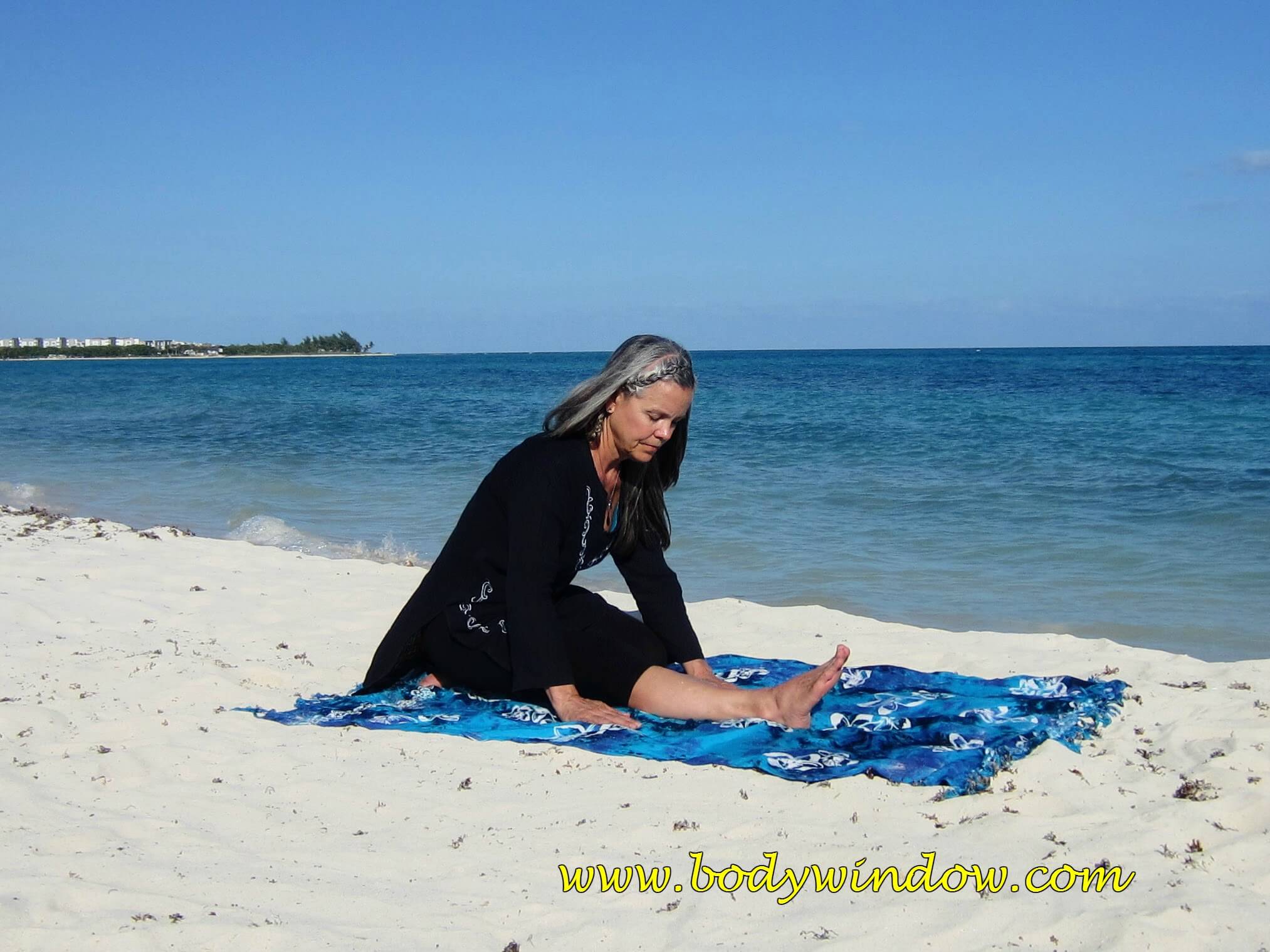 Modified Hurdler's Stretch