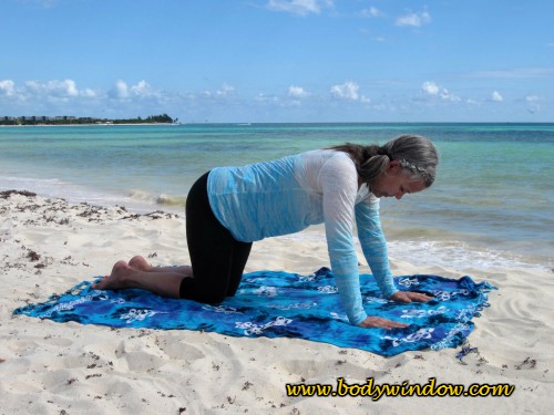 Yoga Table Top Pose