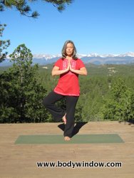 Tree Pose, foot to calf.