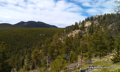 A walk through the trees and mountains