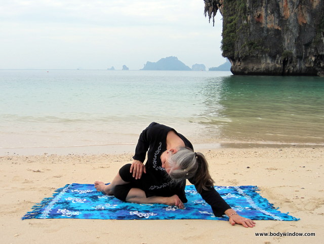 Your Body in Firefly: How Your Muscles Work in Tittibhasana - Yoga Journal