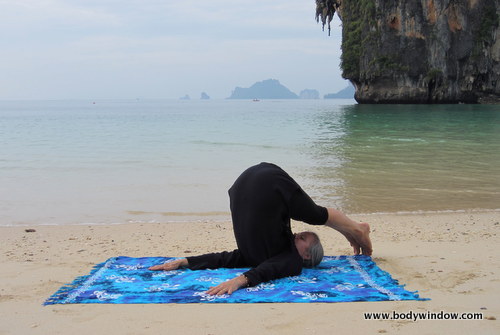 Plow Pose, Start for the Snail Pose