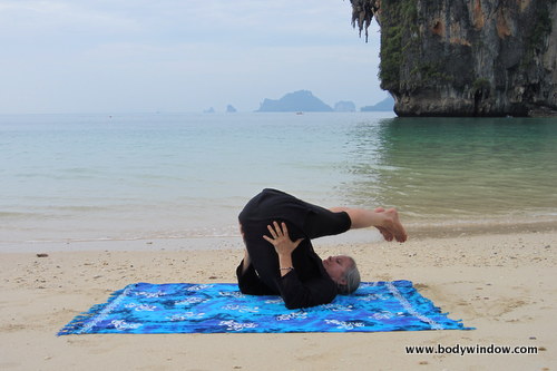 Supported Hips in the Plough Pose